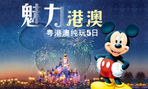 定制大湾区双飞11日游