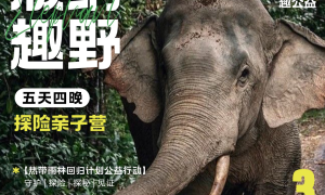版纳双飞5日游