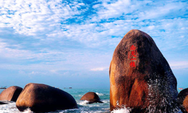 【小海南-没猫腻儿】全陪班