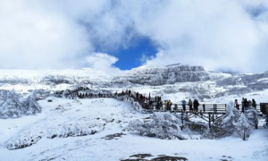 柯度+轿子雪山度假酒店2日游